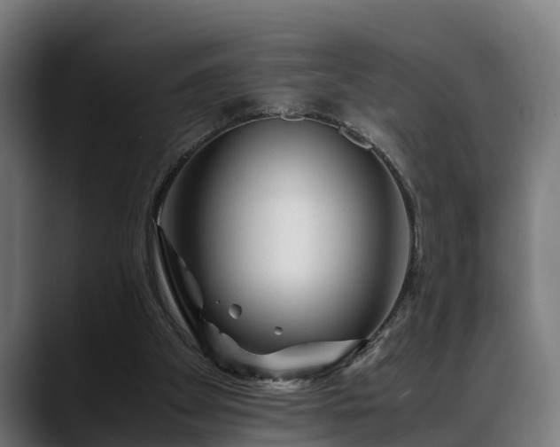 X0000088460105200705291538