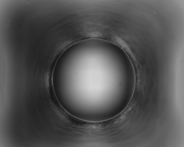 X0000088460106200705291538