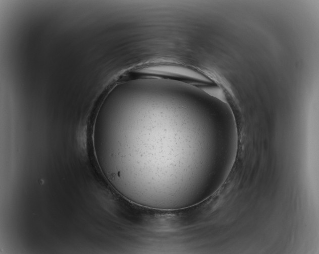 X0000088460108200705291538