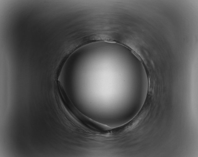 X0000088460109200705291538