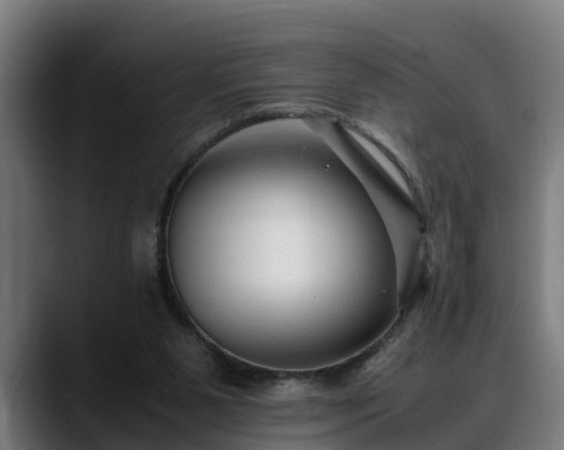 X0000088460111200705291538