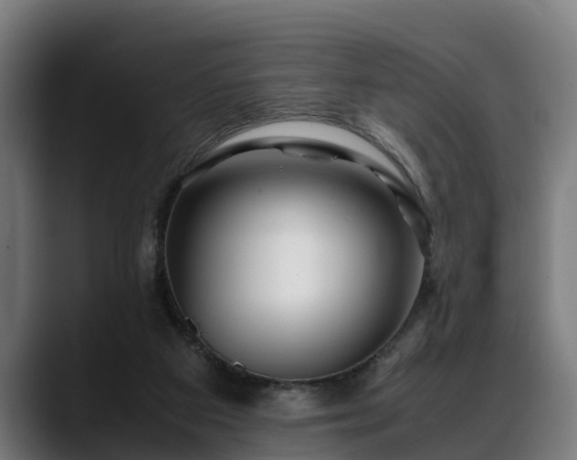 X0000088460113200705291537