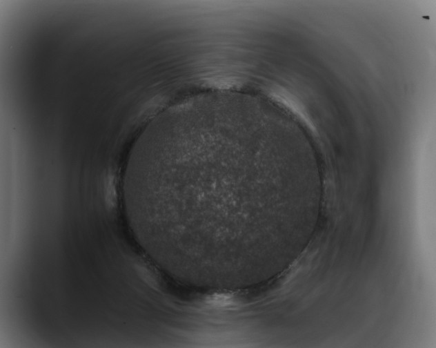 X0000088460114200705291537