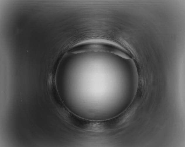 X0000088460117200705291537