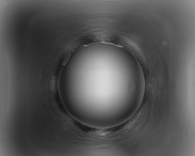 X0000088460121200705291537