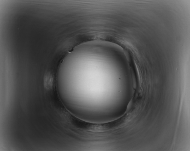 X0000088460123200705291537