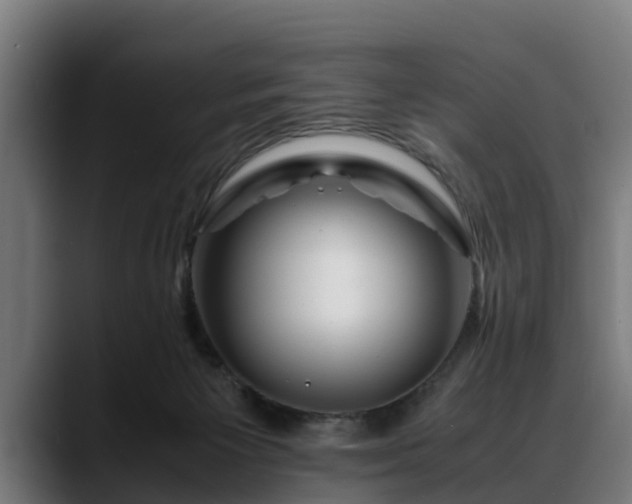 X0000088460125200705291537