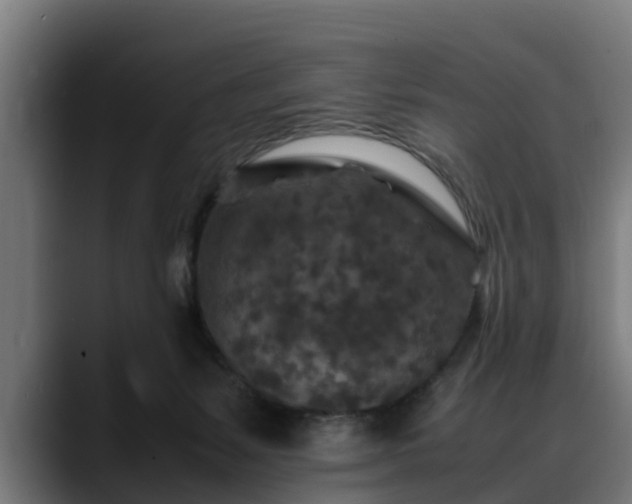 X0000088460127200705291537