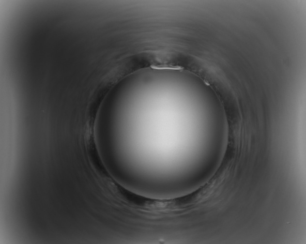 X0000088460129200705291537