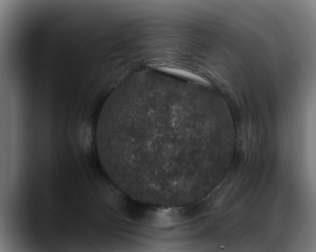 X0000088460130200705291537