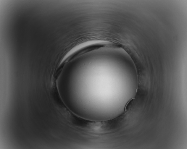 X0000088460131200705291537