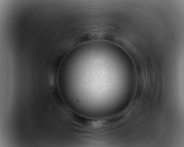 X0000088460134200705291537