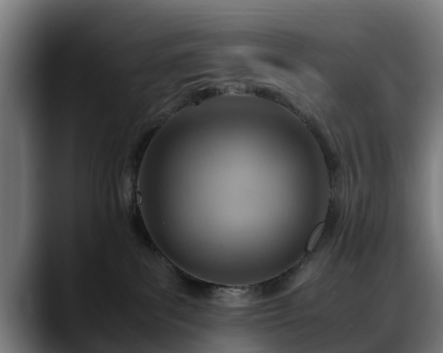 X0000088460139200705291537