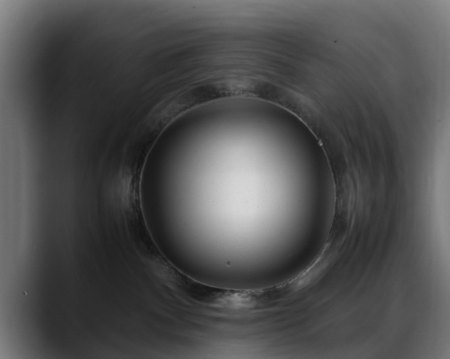 X0000088460140200705291537