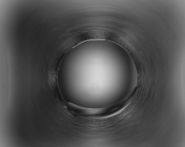 X0000088460141200705291537