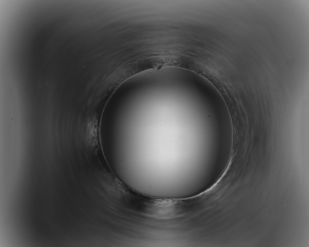 X0000088460144200705291537