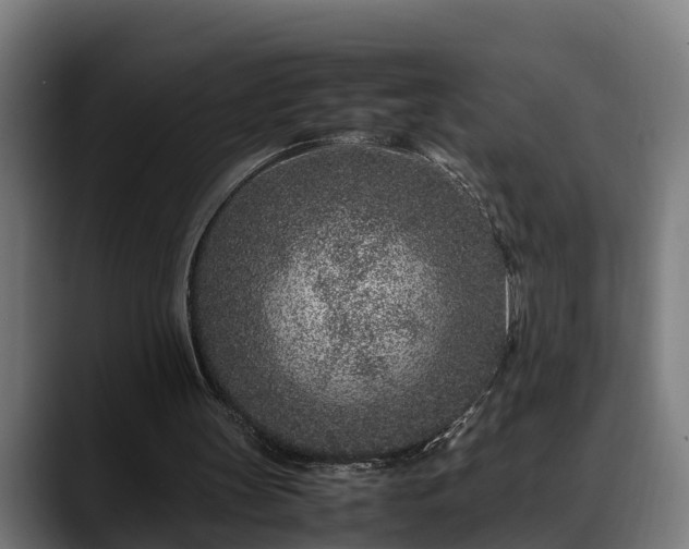 X0000088460147200705291537