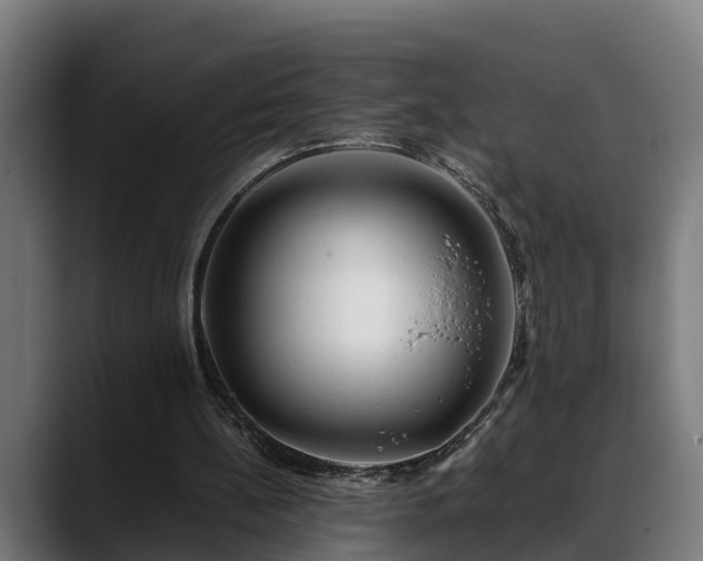 X0000088460148200705291537