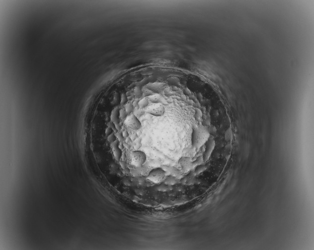 X0000088460149200705291537