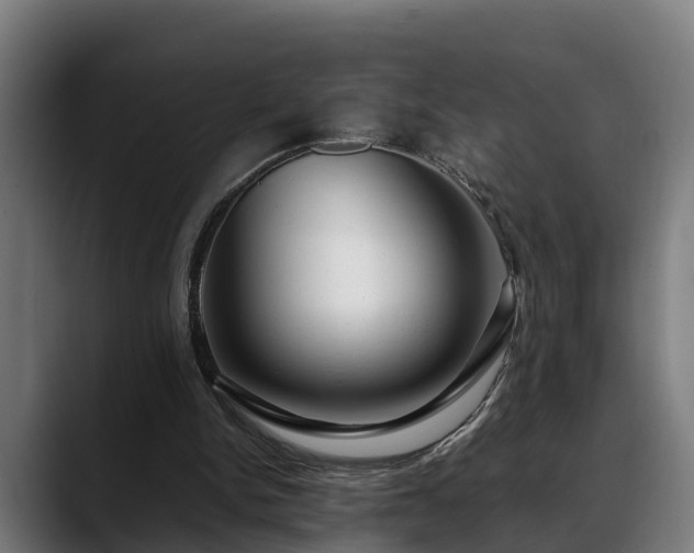 X0000088460150200705291537