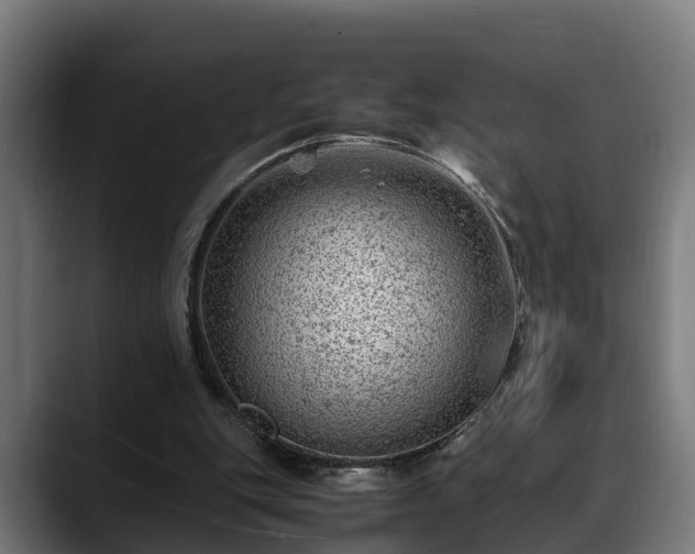 X0000088460151200705291537