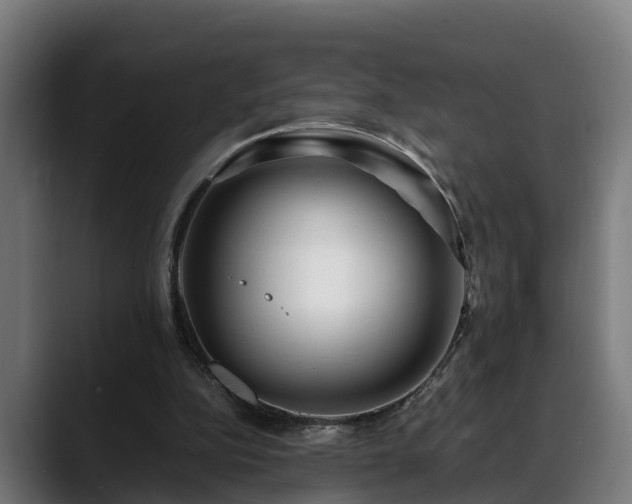 X0000088460152200705291537