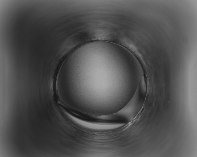 X0000088460154200705291537