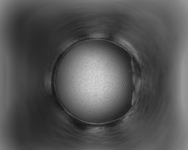 X0000088460155200705291537