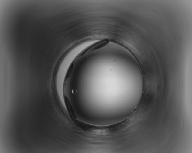 X0000088460160200705291537