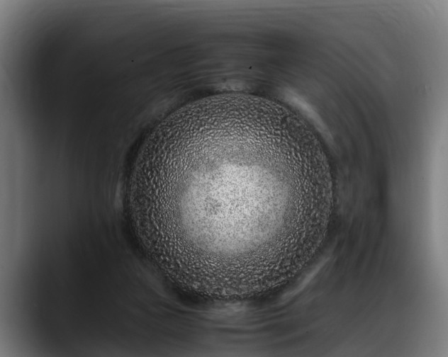 X0000088460161200705291537