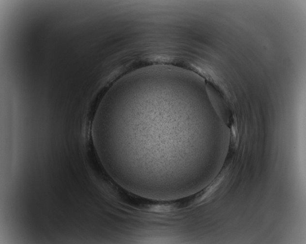 X0000088460168200705291537