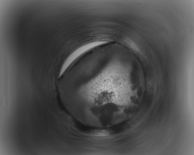 X0000088460169200705291537