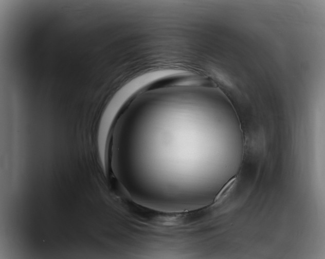 X0000088460170200705291537