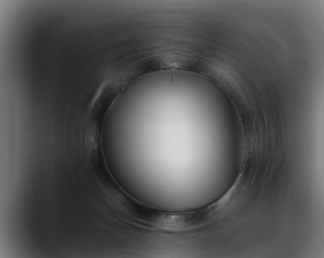 X0000088460174200705291537