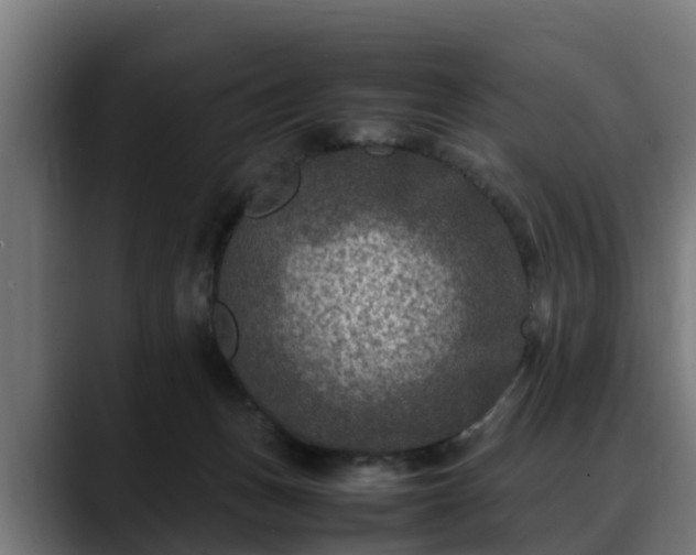 X0000088460175200705291537