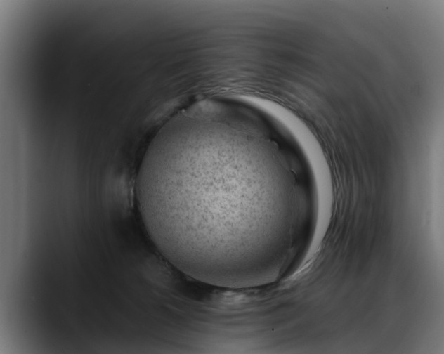 X0000088460180200705291537