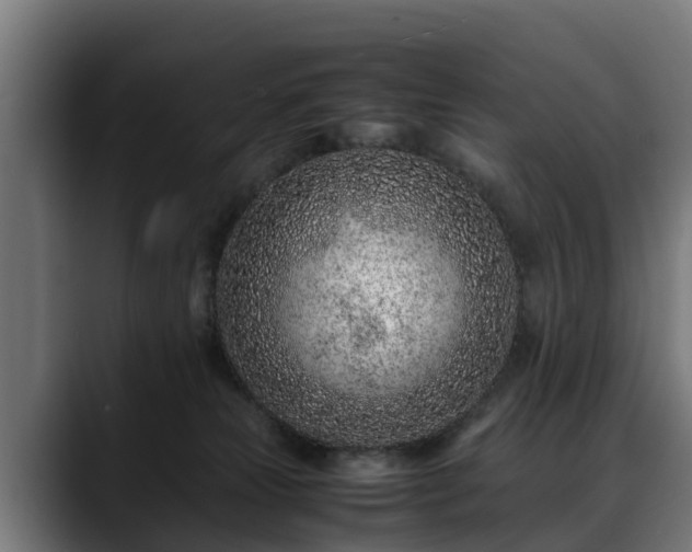 X0000088460181200705291537