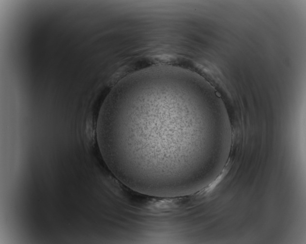 X0000088460186200705291537