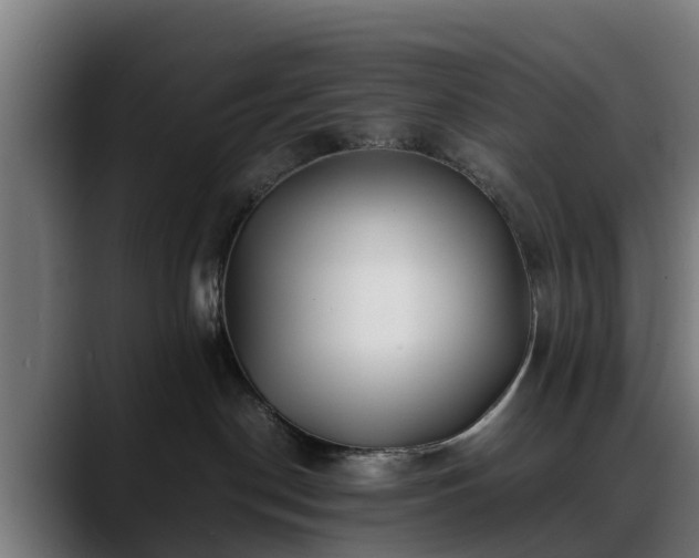 X0000088460190200705291537