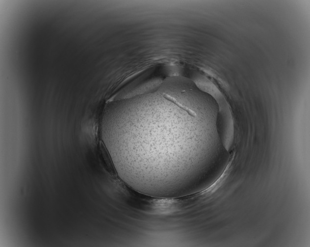 X0000088460192200705291537