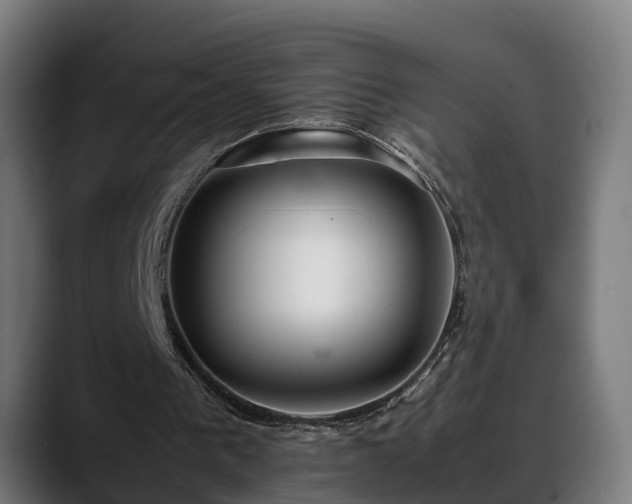 X0000088460193200705291537