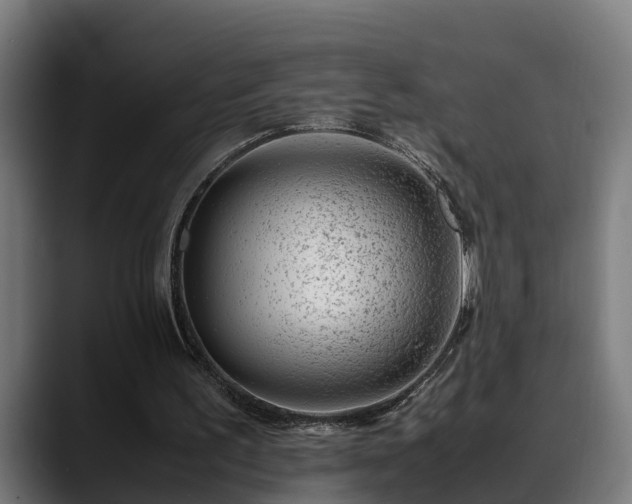 X0000088460195200705291537