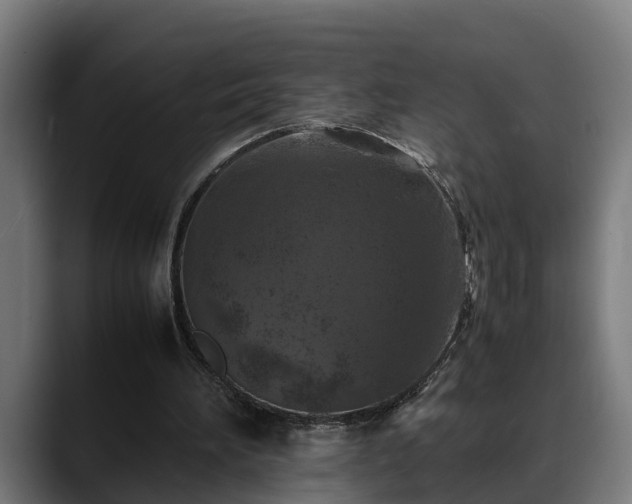 X0000088460196200705291537