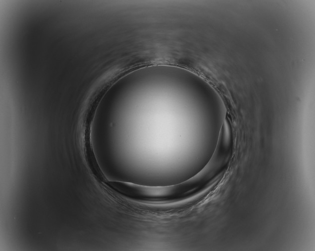 X0000088460197200705291537