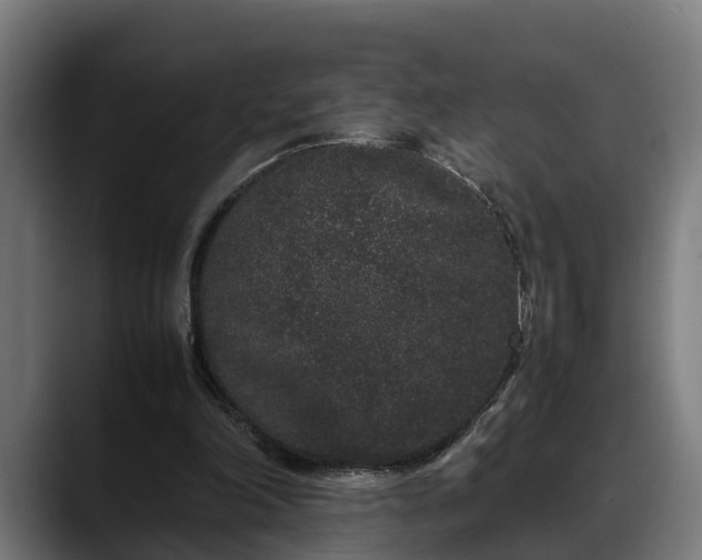 X0000088460198200705291537