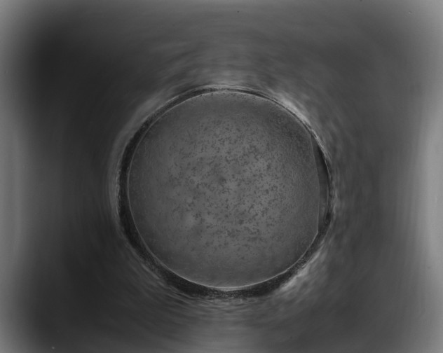 X0000088460199200705291537