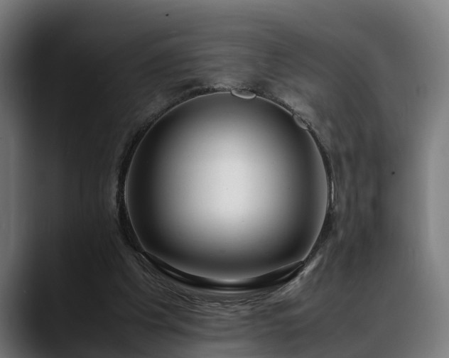 X0000088460201200705291536