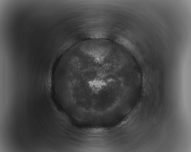 X0000088460202200705291536