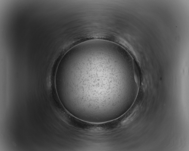 X0000088460203200705291536