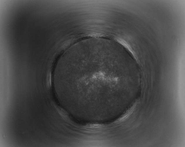 X0000088460205200705291536